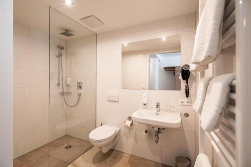 a bathroom with a toilet and a sink and a shower at Sternplatz Hotel in Ehingen