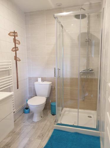 une salle de bain avec toilettes et douche en verre dans l'établissement petite maison en pierre au coeur du Périgord noir, à Salignac Eyvigues