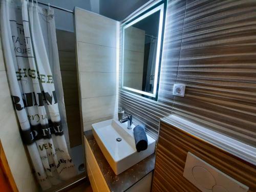 een badkamer met een wastafel en een spiegel bij Apartment Silver in Ljubljana
