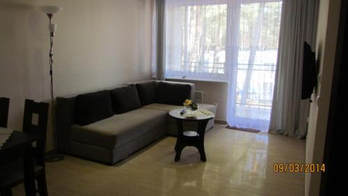a living room with a couch and a table at jaren in Łukęcin