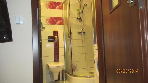 a bathroom with a shower with a toilet and a sink at jaren in Łukęcin