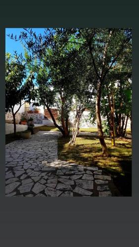 a group of trees and a stone walkway in a park at B&B Sa domo de sos Massaios in Orosei