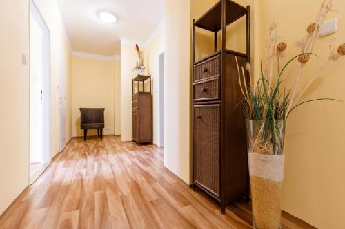 Η κουζίνα ή μικρή κουζίνα στο Apartments TGM 11