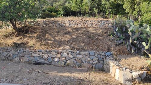 a stone retaining wall next to a field with a cactus at Sa Dommu 'e su coro in Triei