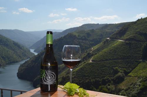a bottle of wine sitting next to a glass of wine at CASA MENCIA in Sober