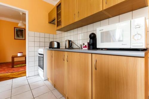 Η κουζίνα ή μικρή κουζίνα στο Apartments TGM 11