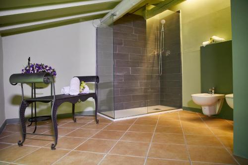 a bathroom with a shower and a toilet at Vecchio Granaio in Pisa