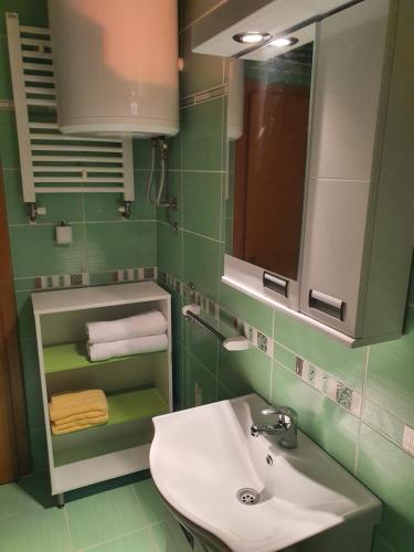 Un baño verde con lavabo y espejo. en Stankovic apartman, en Niš