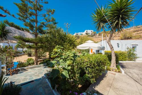 a garden with a palm tree and an umbrella at Katerina Studios Mparou in Apollonia