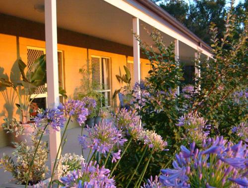 a bunch of purple flowers in front of a house at Wallaby Ridge Retreat in Mount Tamborine