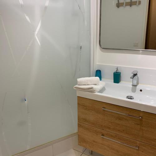 une salle de bain avec un lavabo et une douche dans l'établissement Appartement locations secrètes sarlat, à Sarlat-la-Canéda