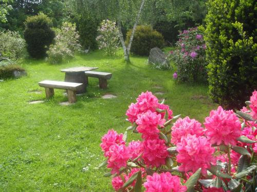 un banco de picnic y flores rosas en el césped en Landgasthof Kemter, en Dröbischau