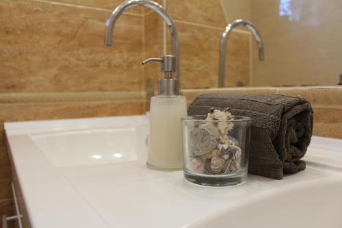 a bathroom sink with a bottle of soap and a towel at Margaret Apartment in Balatonkeresztúr
