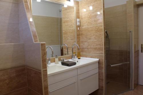 a bathroom with a sink and a shower at Margaret Apartment in Balatonkeresztúr