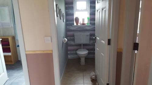 a small bathroom with a toilet and a window at Pauleens Peaceful Place in Rochfortbridge