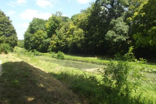 a river next to a field with trees at Le Domaine de JAUGY in Gièvres