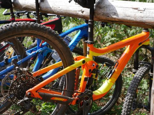 Attività di ciclismo presso l'hotel o nelle vicinanze