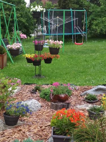 a garden with several pots of flowers in a yard at Ubytovani U babicky in Velké Losiny