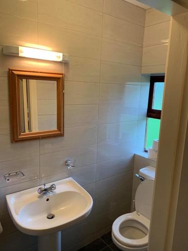 łazienka z umywalką i toaletą w obiekcie Amber Cottage w Killarney