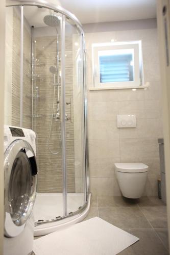 a bathroom with a shower and a toilet at Vacation home Meri in Mirce