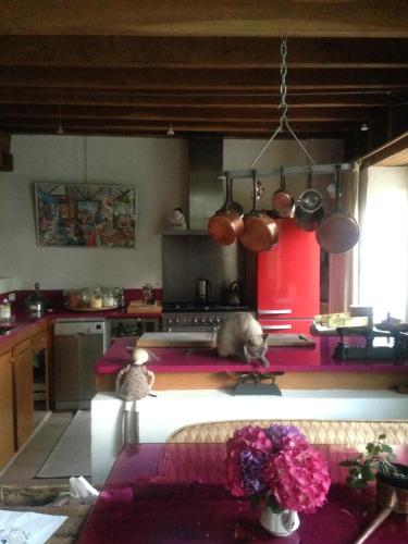 a kitchen with a dog laying on a kitchen counter at Ma maison de couture in Urval