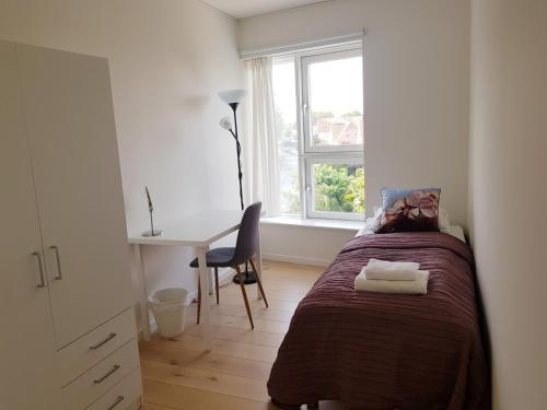 Schlafzimmer mit einem Bett, einem Schreibtisch und einem Fenster in der Unterkunft Ana's Bed & Kitchen in Kopenhagen