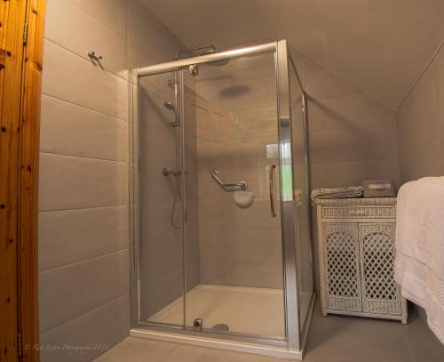 a shower with a glass door in a bathroom at Lis-Ardagh Lodge in Union Hall