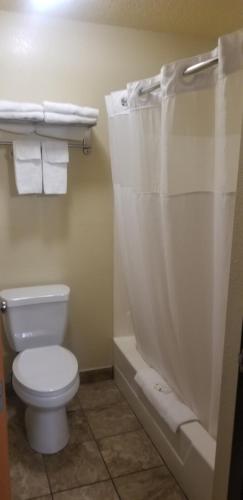 y baño con aseo y cortina de ducha. en Quality Inn Chesterton near Indiana Dunes National Park I-94 en Chesterton