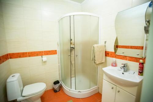 a bathroom with a shower and a toilet and a sink at Оазис in Zalishchyky