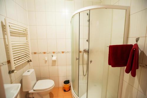 a bathroom with a shower with a toilet and a sink at Оазис in Zalishchyky