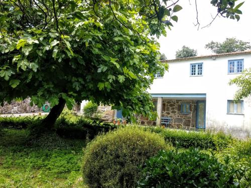 Zahrada ubytování Casa Ana Monteiro
