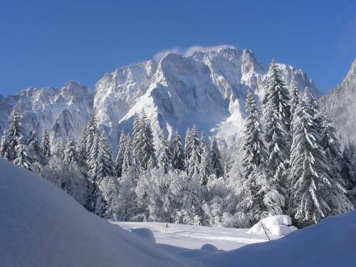 a snow covered mountain range with snow covered trees at Agriturismo Prati Oitzinger in Valbruna