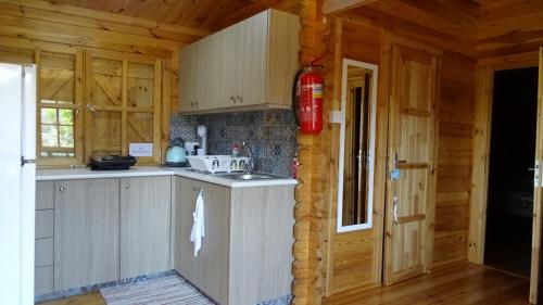 Köök või kööginurk majutusasutuses Happy Glamping Cy