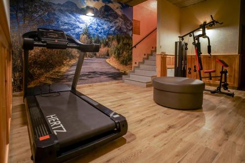 a gym with a treadmill and a wall mural at Apartamenty Liliowe SPA & Wellness in Murzasichle