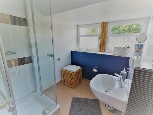 uma casa de banho com uma cabina de duche em vidro e um lavatório. em Backstage Apartment Kiel-Holtenau em Kiel