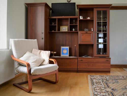 a living room with a chair and a entertainment center at Rozsi Mama in Sovata