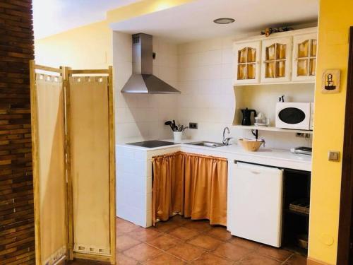 a kitchen with a sink and a microwave at Apartamentos La Guergola in Pola de Somiedo