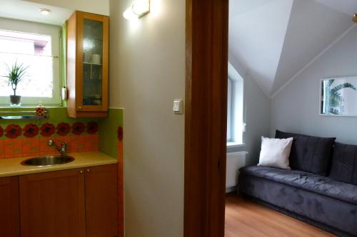 a living room with a couch and a sink at Apartamenty BB nad Kryniczanką in Krynica Zdrój