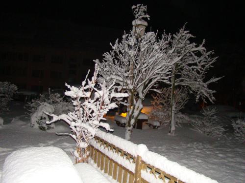 a fence with snow covered trees and a street light at Butas Nida Ramybė in Nida