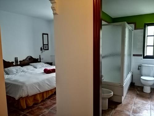 ein Schlafzimmer mit einem Bett und ein Badezimmer mit einem WC in der Unterkunft La Fragua del Canajal apartamentos in San Cosme