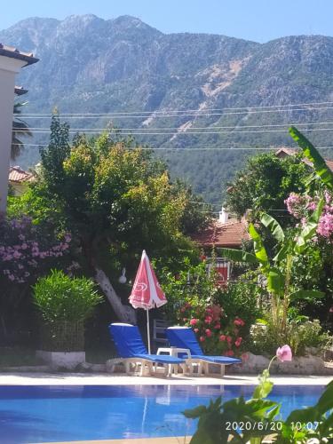 Γενική θέα στο βουνό ή θέα στο βουνό από  αυτός ο ξενώνας
