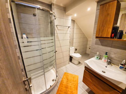 bagno con doccia, lavandino e servizi igienici di George's Apartment a Città di Lefkada