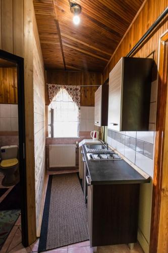a kitchen with a stove and a counter top at Regina House in Kaunas