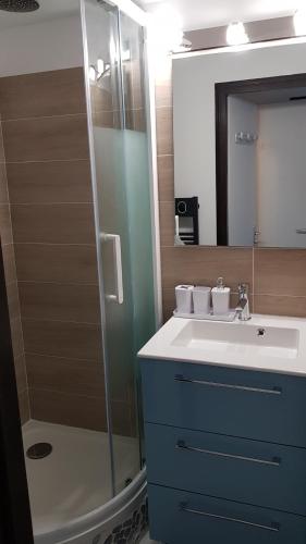 ein Bad mit einem Waschbecken und einer Dusche in der Unterkunft appart luz in Luz-Saint-Sauveur