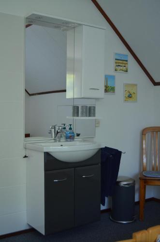 een badkamer met een wastafel en een spiegel bij De strandkamer in Oostkapelle