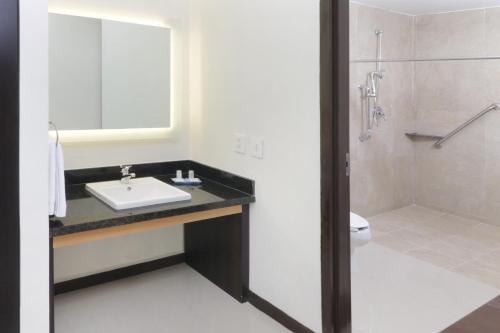 uma casa de banho com um lavatório e um chuveiro em Holiday Inn Express - Tuxpan, an IHG Hotel em Tuxpan de Rodríguez Cano
