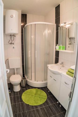 a bathroom with a shower and a toilet and a sink at Apartments Malina in Vir