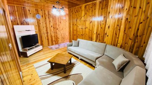 un salon avec un canapé et une télévision dans l'établissement Kaya Residence, à Uzungöl