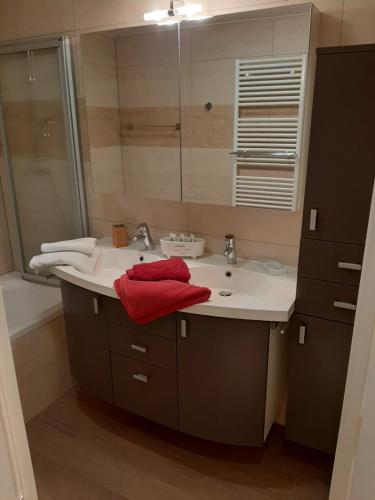 a bathroom with a sink and a shower and a red towel at Vakantieappartement Belle Epoque Blankenberge in Blankenberge