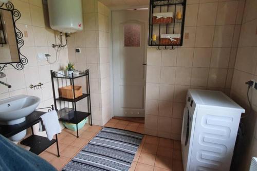 a bathroom with a sink and a washing machine at Kaszubskie Siedlisko Szkodnikówka in Skwierawy